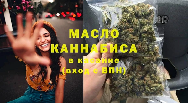 гидра Верхний Тагил