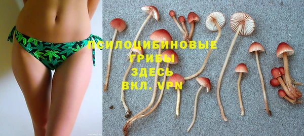 ешки Волоколамск