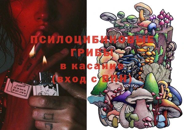 соль ск Вяземский