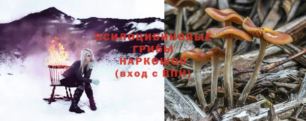 ешки Волоколамск